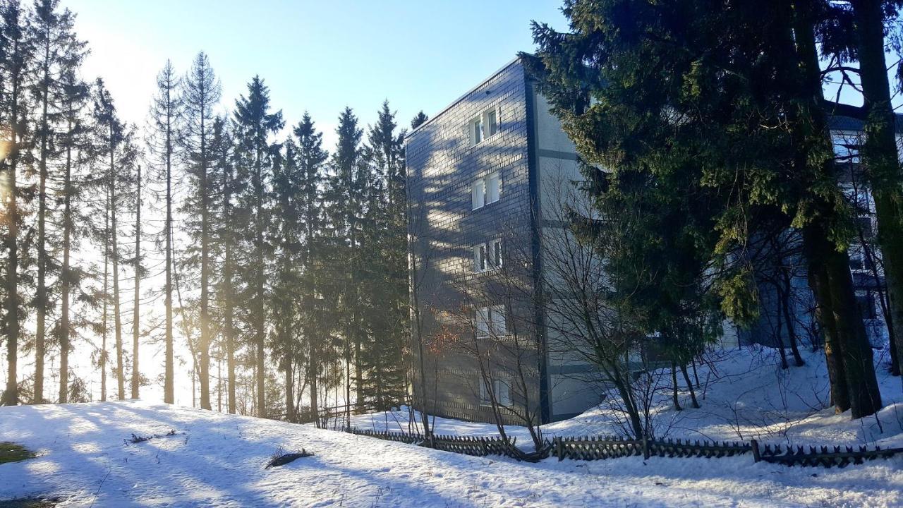 Ferienappartement Winterberg - Bikepark Um Die Ecke Екстериор снимка